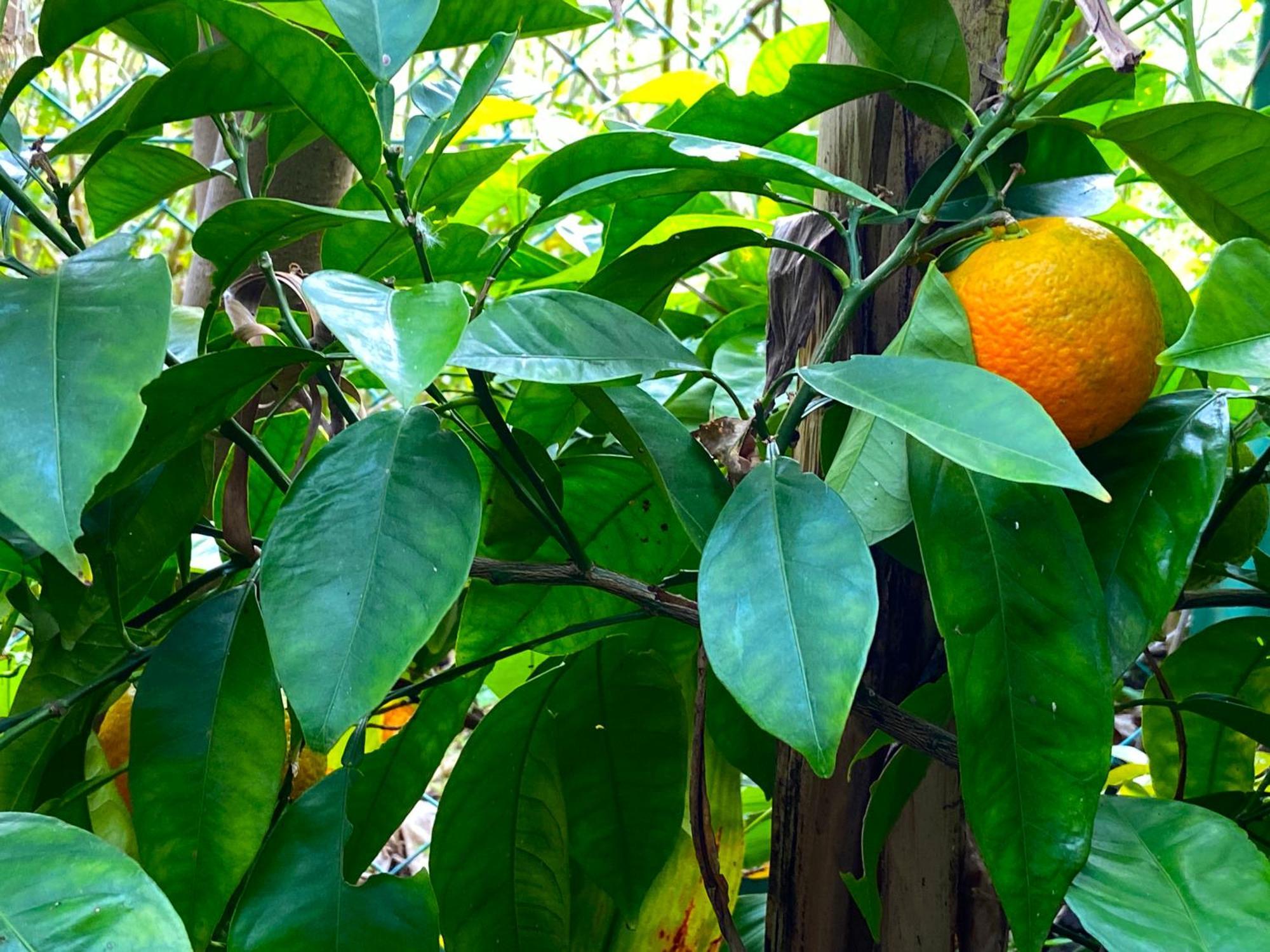 Kamagasaki University Of The Arts Cafe Garden Guest House Aka Cocoroom Osaca Exterior foto
