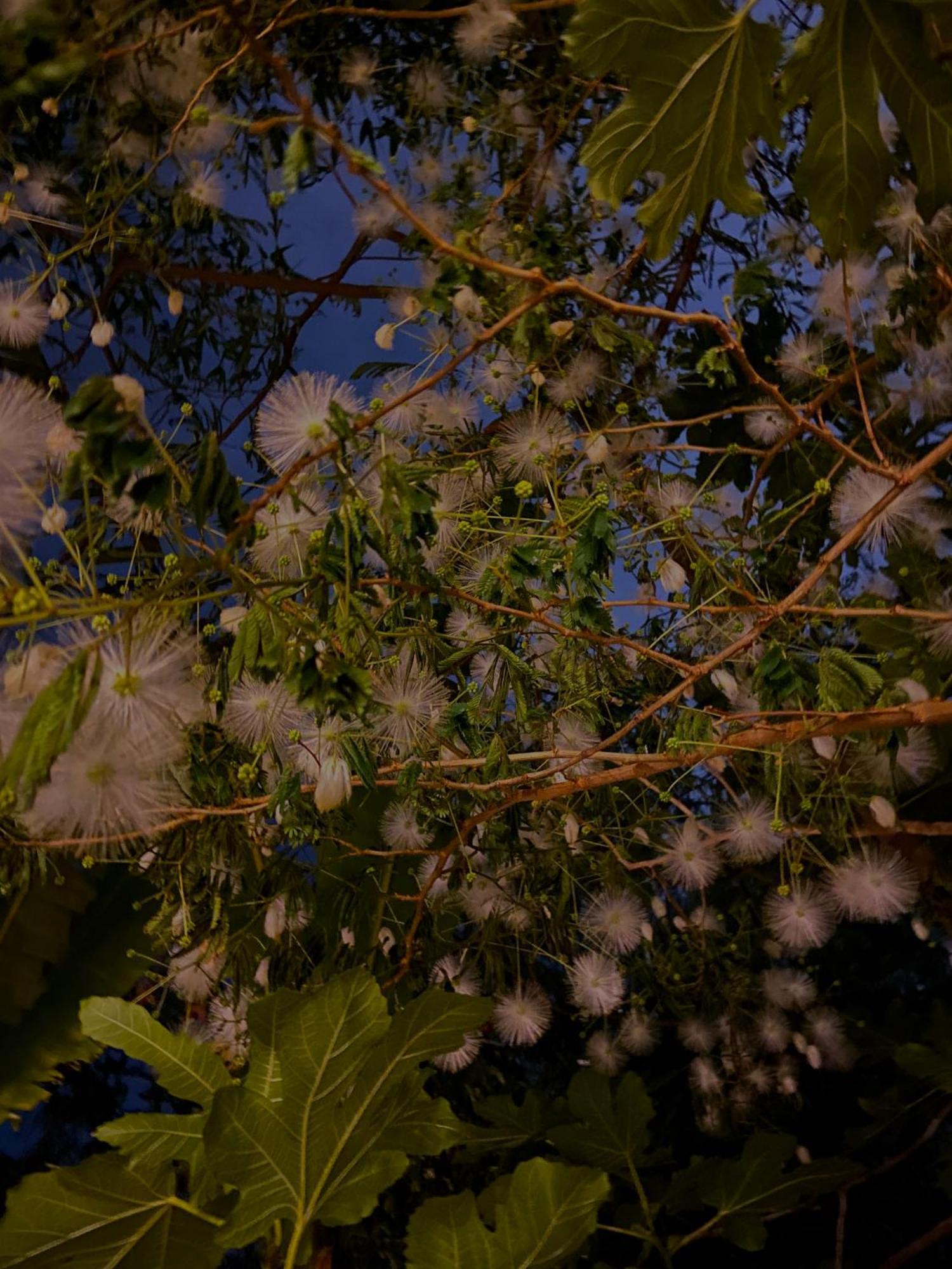 Kamagasaki University Of The Arts Cafe Garden Guest House Aka Cocoroom Osaca Exterior foto