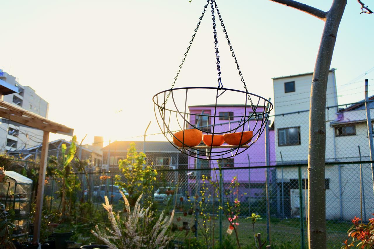 Kamagasaki University Of The Arts Cafe Garden Guest House Aka Cocoroom Osaca Exterior foto